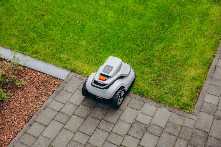 TERRAMOW SESJA FOTO-92.JPG