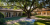 LUBA mini 01 Mow under the tree.png