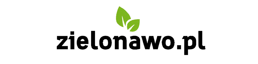 Demo Hammer PRO SF - strona główna