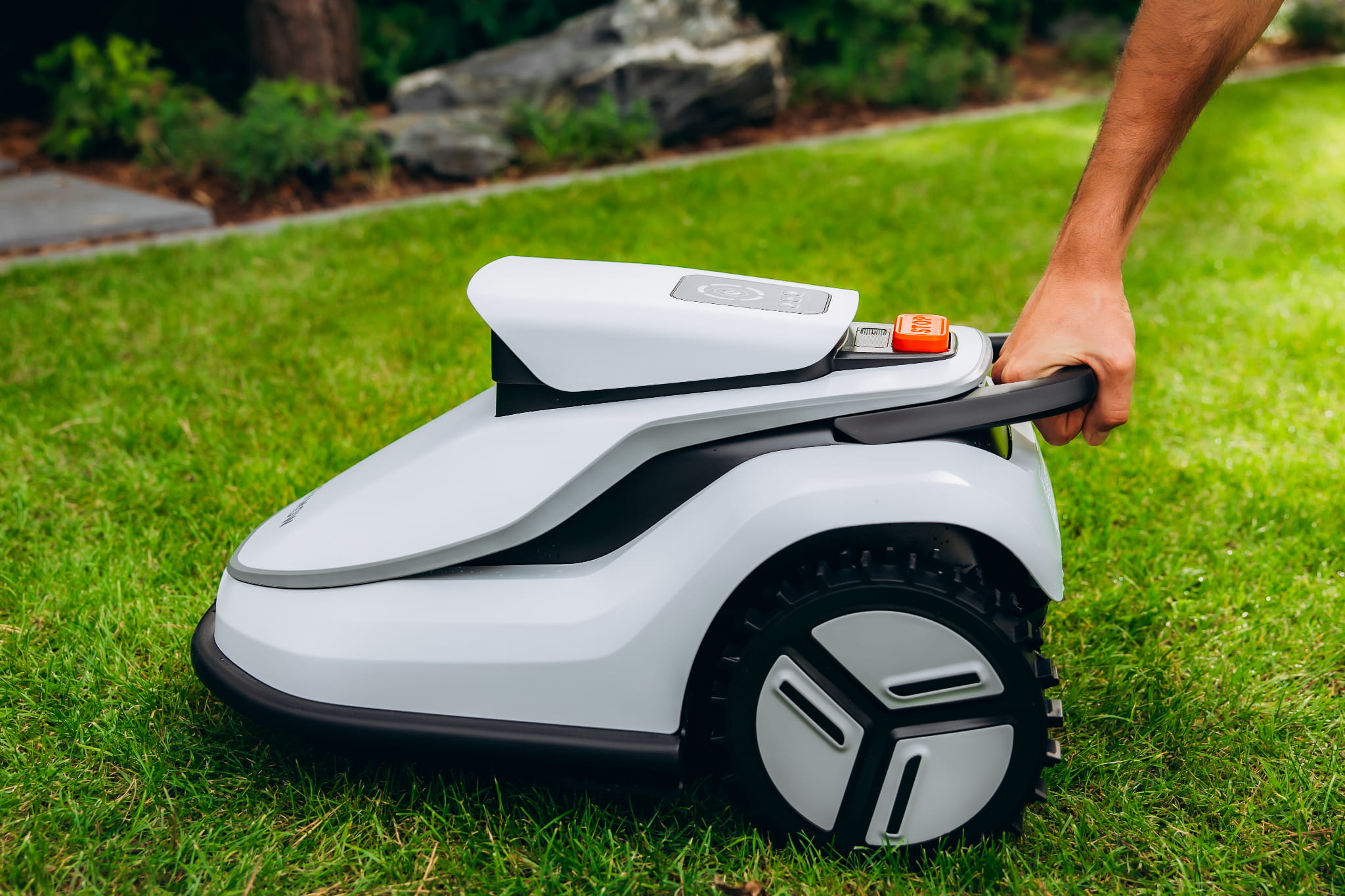 TERRAMOW SESJA FOTO-106.JPG